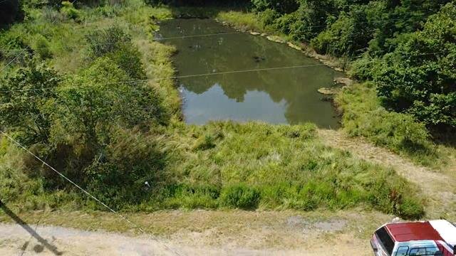 Image for SOLD $96,250 - Monroe Co. 3 Bedroom on 20+ Acres Selling to the Highest Bidder