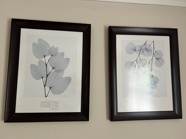 Image for 401 Downing Drive, Kings Mountain