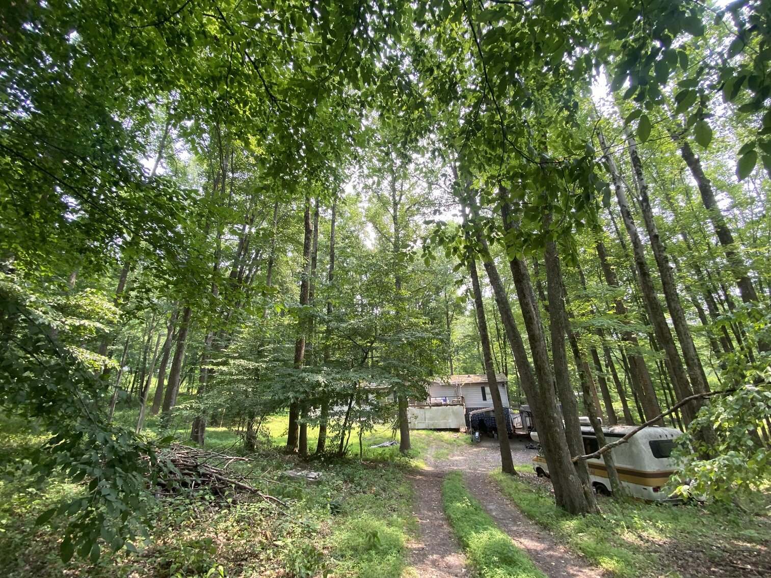 Image for SOLD $151,250 - 2.5 Wooded Acres with Mobile Home Selling to the Highest Bidder