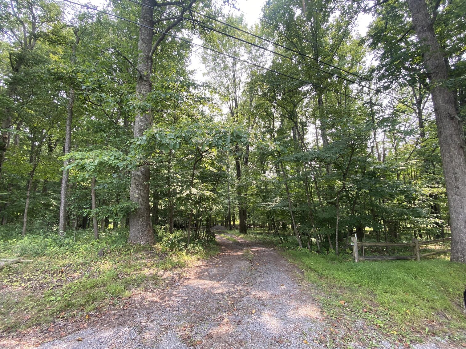 Image for SOLD $151,250 - 2.5 Wooded Acres with Mobile Home Selling to the Highest Bidder