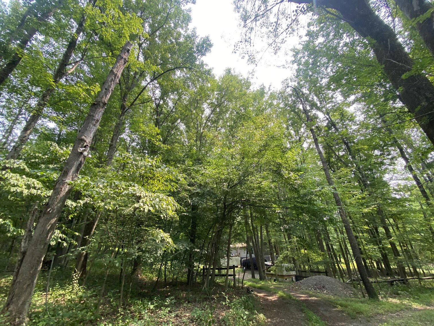 Image for SOLD $151,250 - 2.5 Wooded Acres with Mobile Home Selling to the Highest Bidder