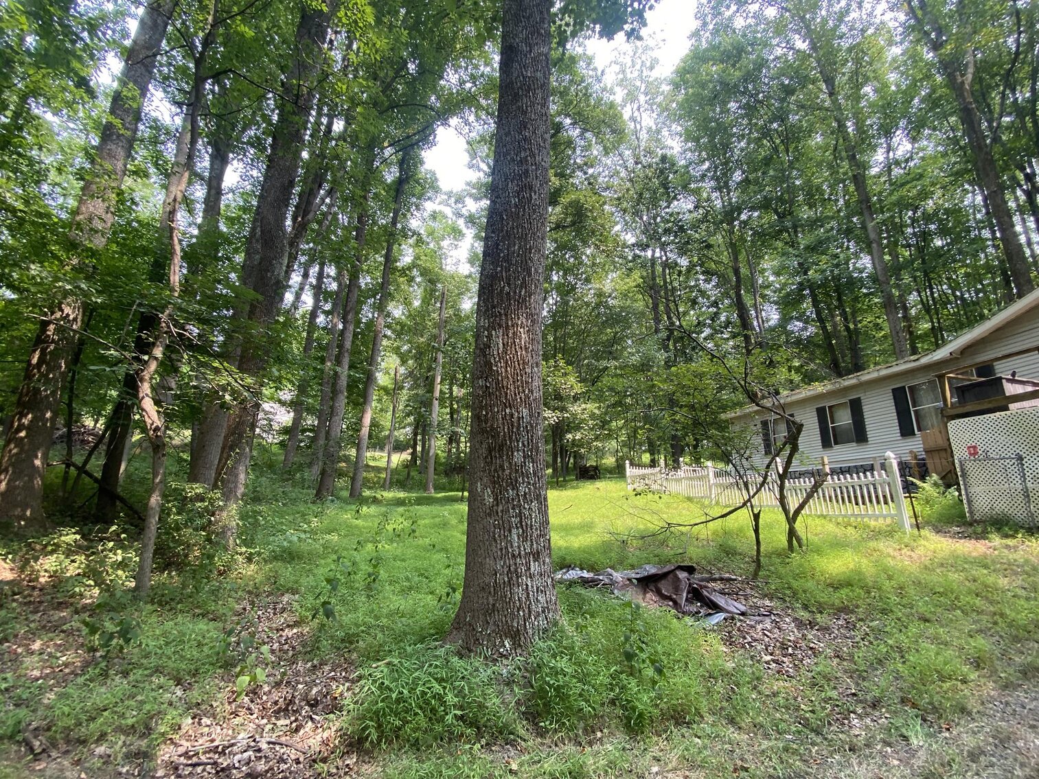 Image for SOLD $151,250 - 2.5 Wooded Acres with Mobile Home Selling to the Highest Bidder