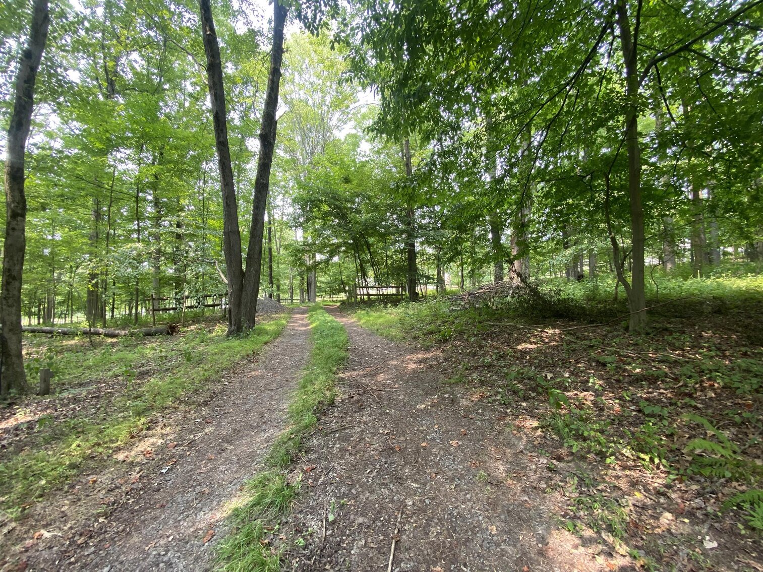 Image for SOLD $151,250 - 2.5 Wooded Acres with Mobile Home Selling to the Highest Bidder