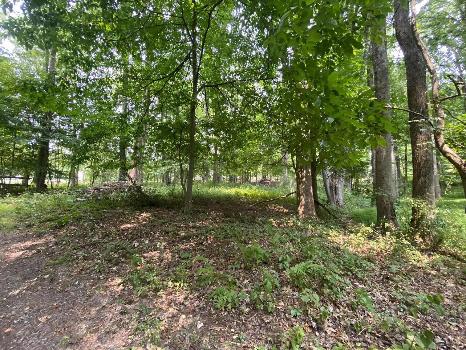 Image for SOLD $151,250 - 2.5 Wooded Acres with Mobile Home Selling to the Highest Bidder