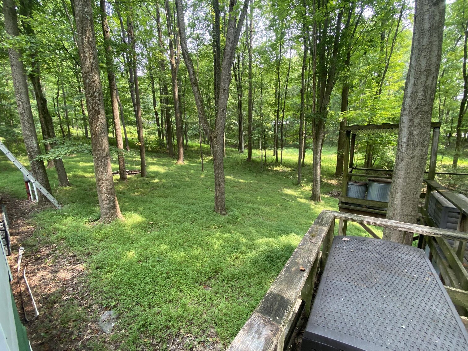Image for SOLD $151,250 - 2.5 Wooded Acres with Mobile Home Selling to the Highest Bidder