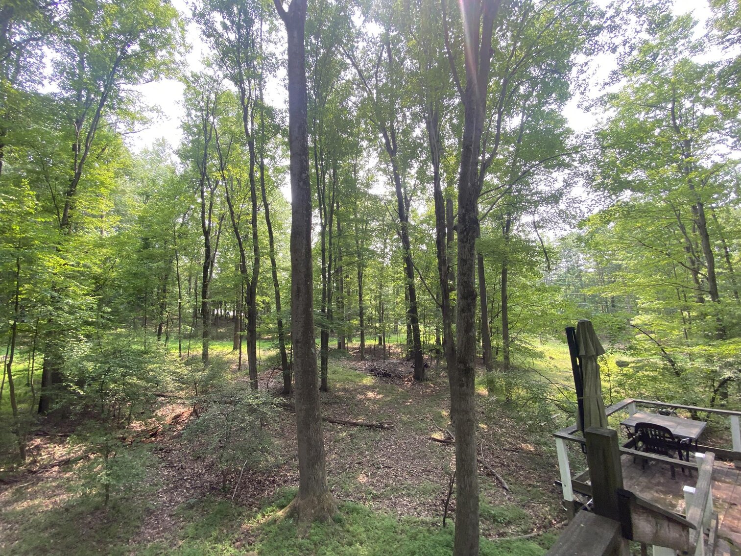 Image for SOLD $151,250 - 2.5 Wooded Acres with Mobile Home Selling to the Highest Bidder