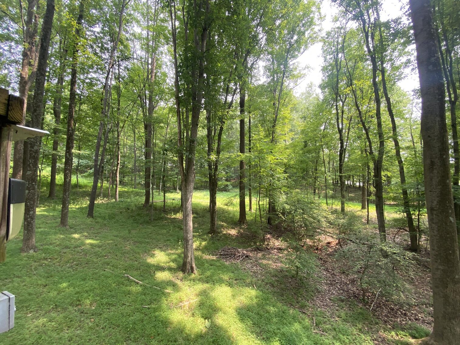 Image for SOLD $151,250 - 2.5 Wooded Acres with Mobile Home Selling to the Highest Bidder
