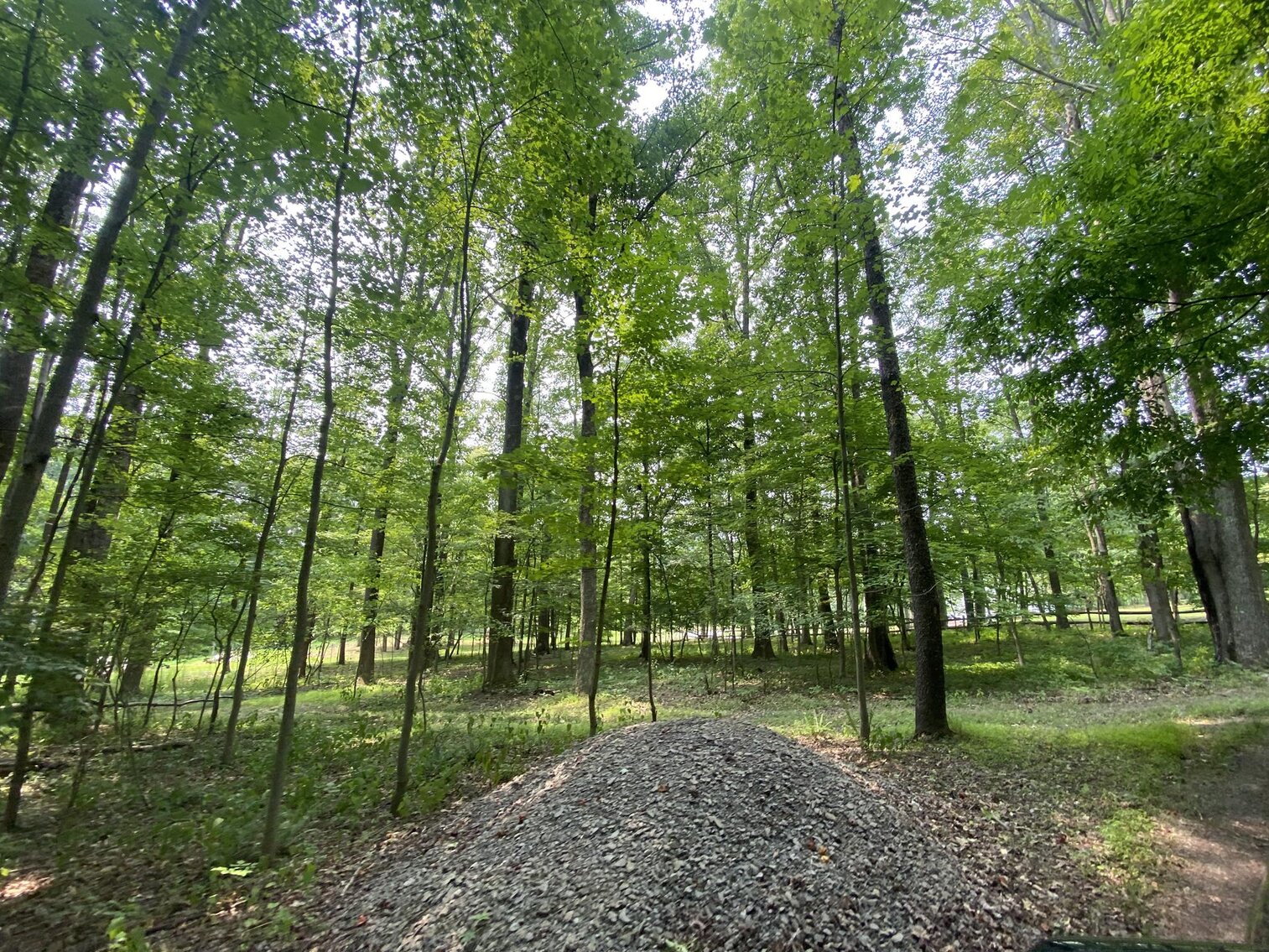 Image for SOLD $151,250 - 2.5 Wooded Acres with Mobile Home Selling to the Highest Bidder