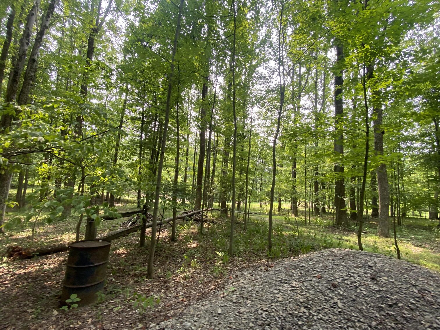 Image for SOLD $151,250 - 2.5 Wooded Acres with Mobile Home Selling to the Highest Bidder