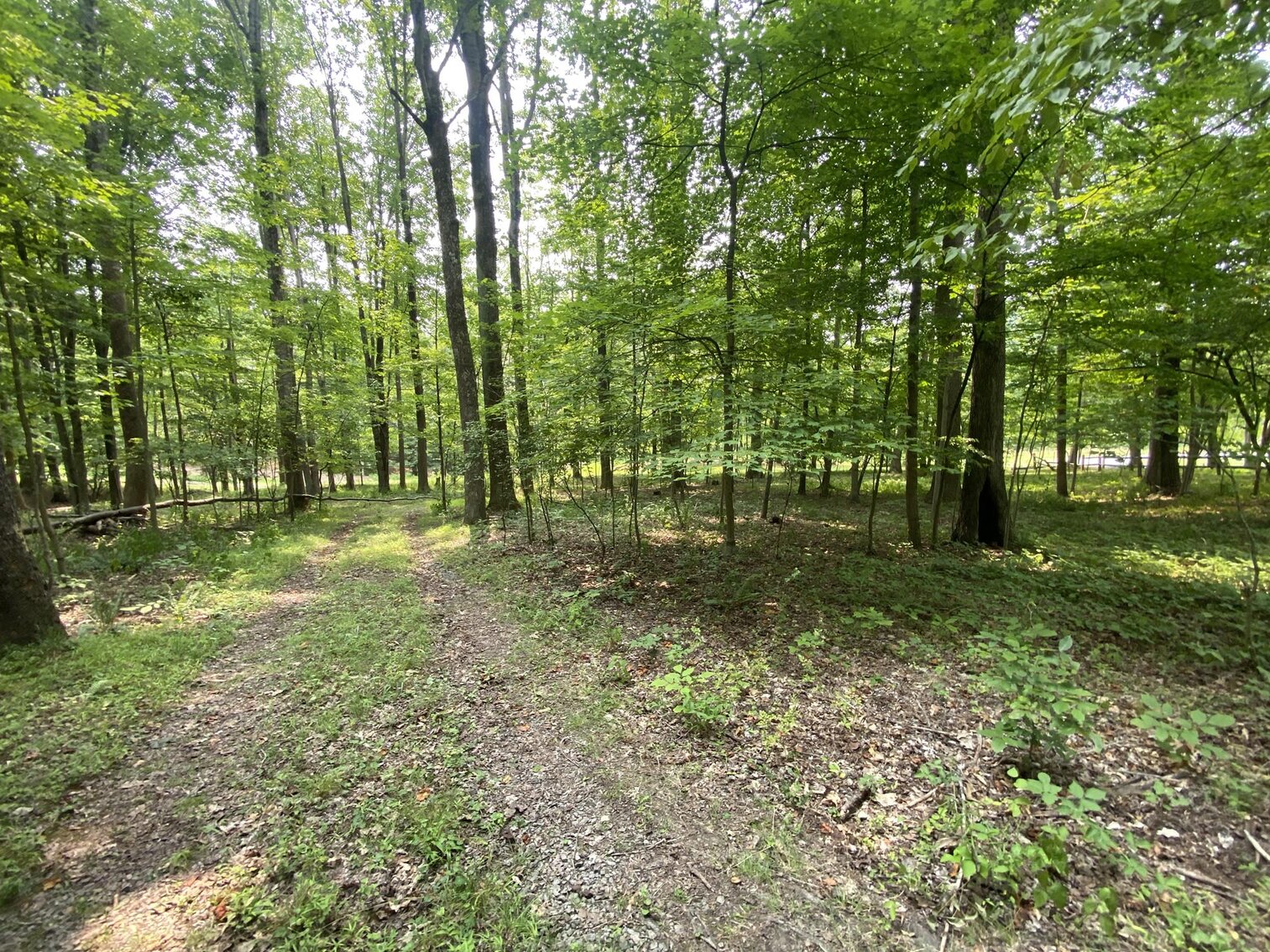 Image for SOLD $151,250 - 2.5 Wooded Acres with Mobile Home Selling to the Highest Bidder