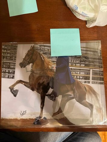 Image for Lumberton Horse Auction August 7th