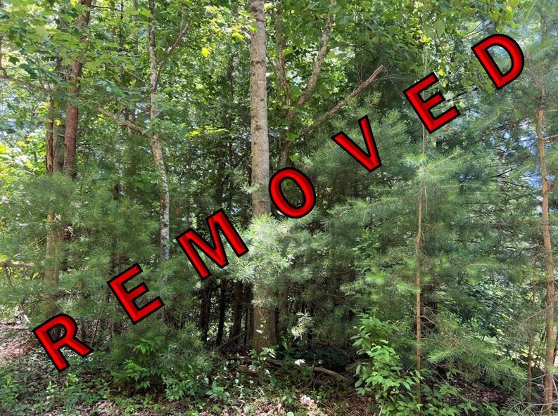 Image for Carroll County, VA Sale of Tax Delinquent Real Estate