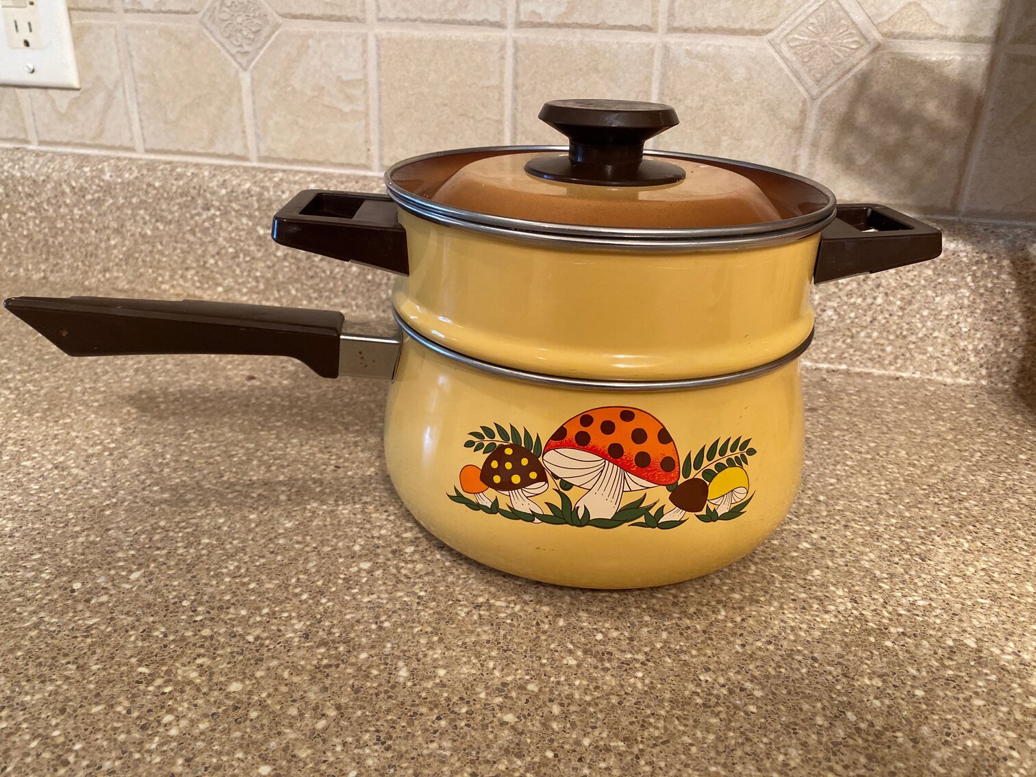 Vintage ‘70s mushroom enamel double boiler