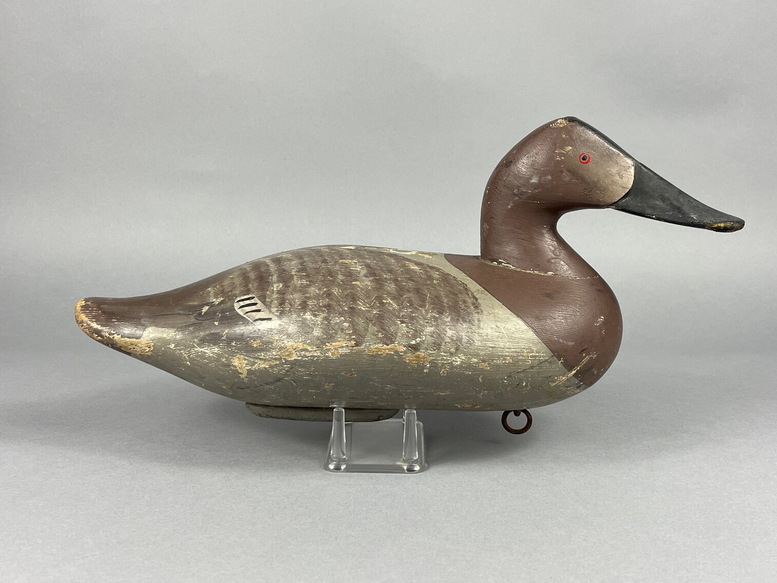Canvasback by Charlie Bryan