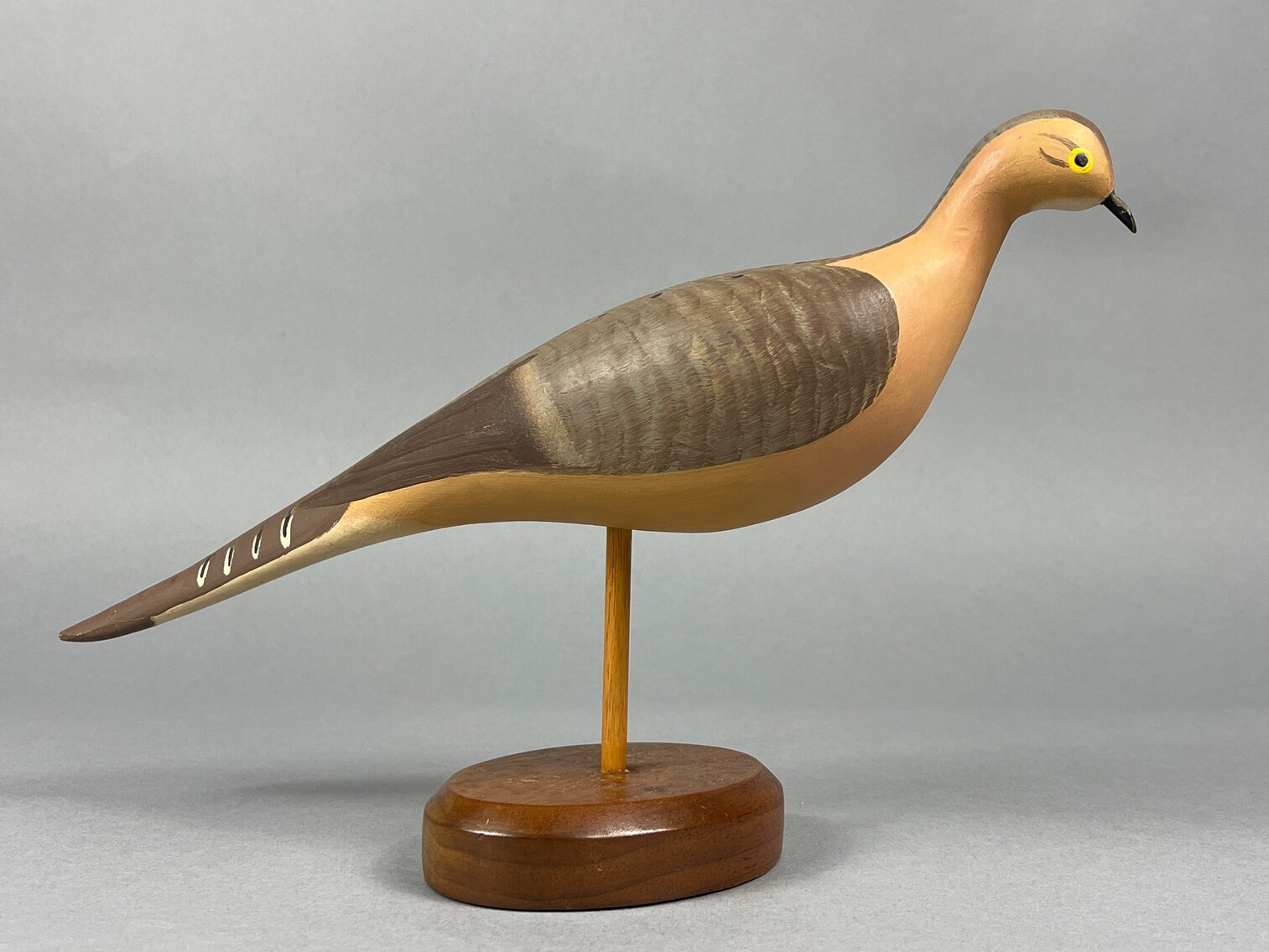 Dove by R. Madison Mitchell