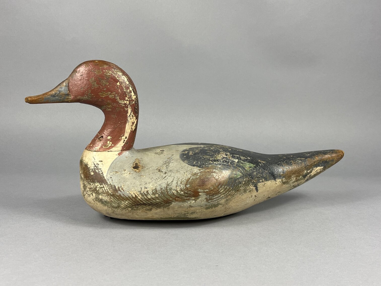 Pintail by R. Madison Mitchell 