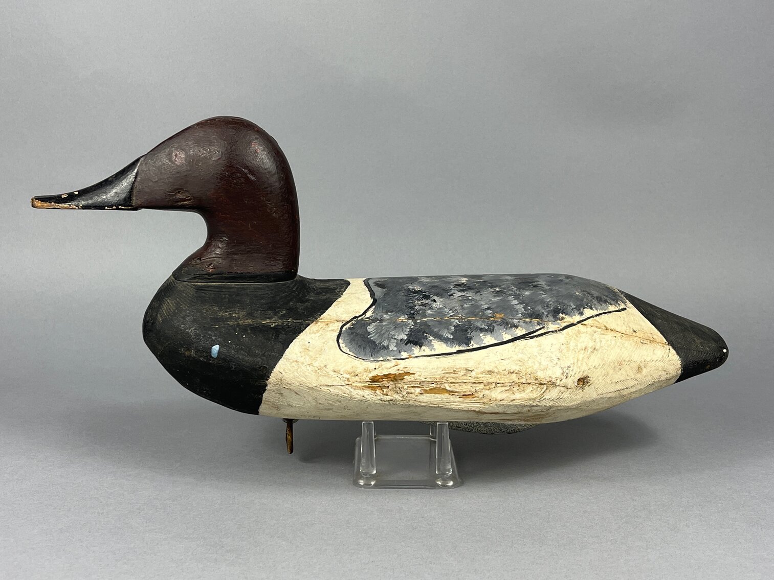Canvasback by Wally Algard