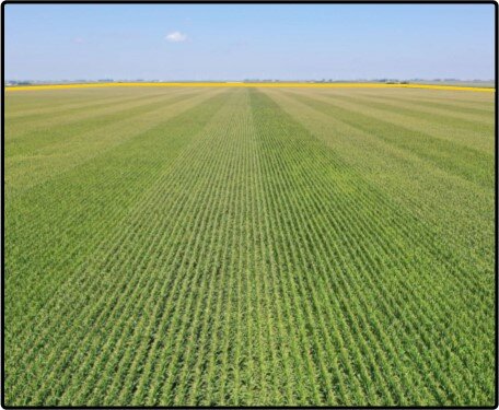 Image for Closed - Palo Alto Co., IA - 800.00 Ac., m/l (010-2658)