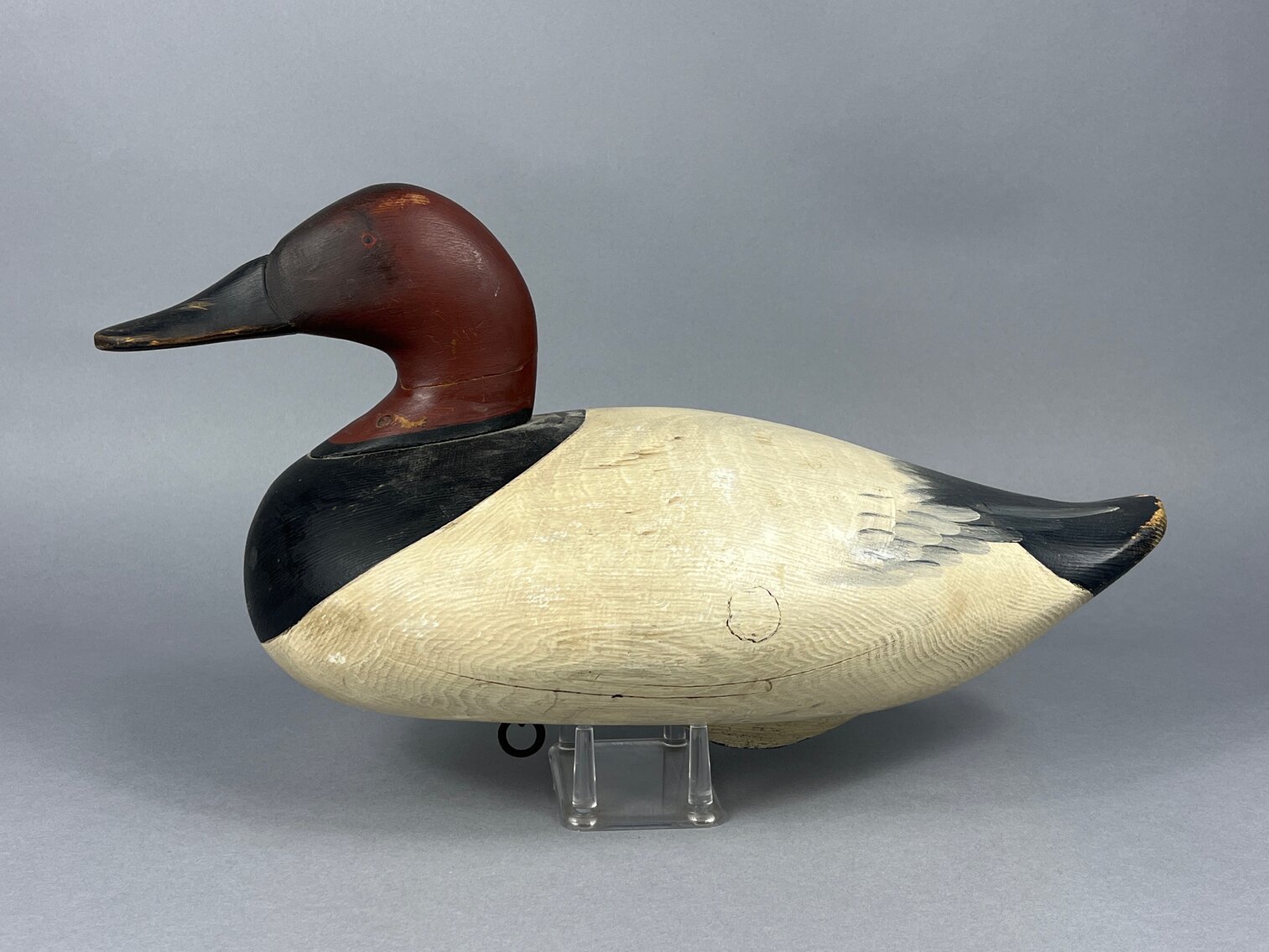 Canvasback by Butch Parker