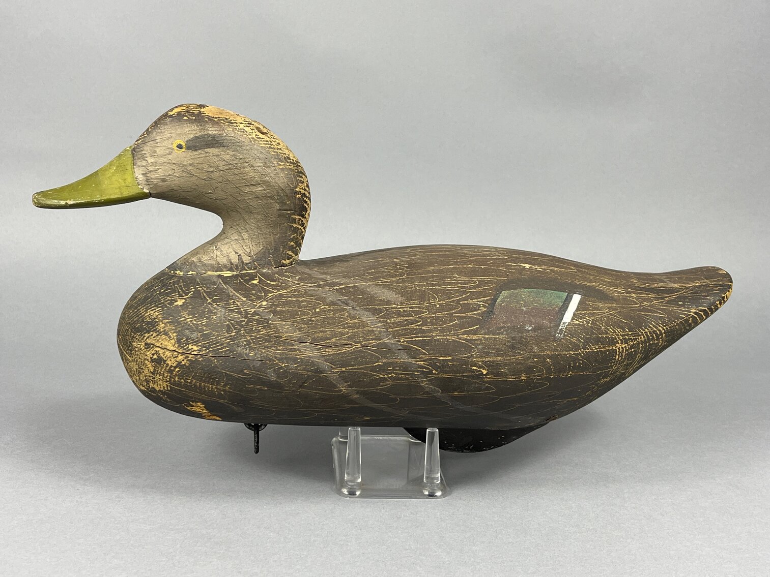 Black Duck by R. Madison Mitchell 