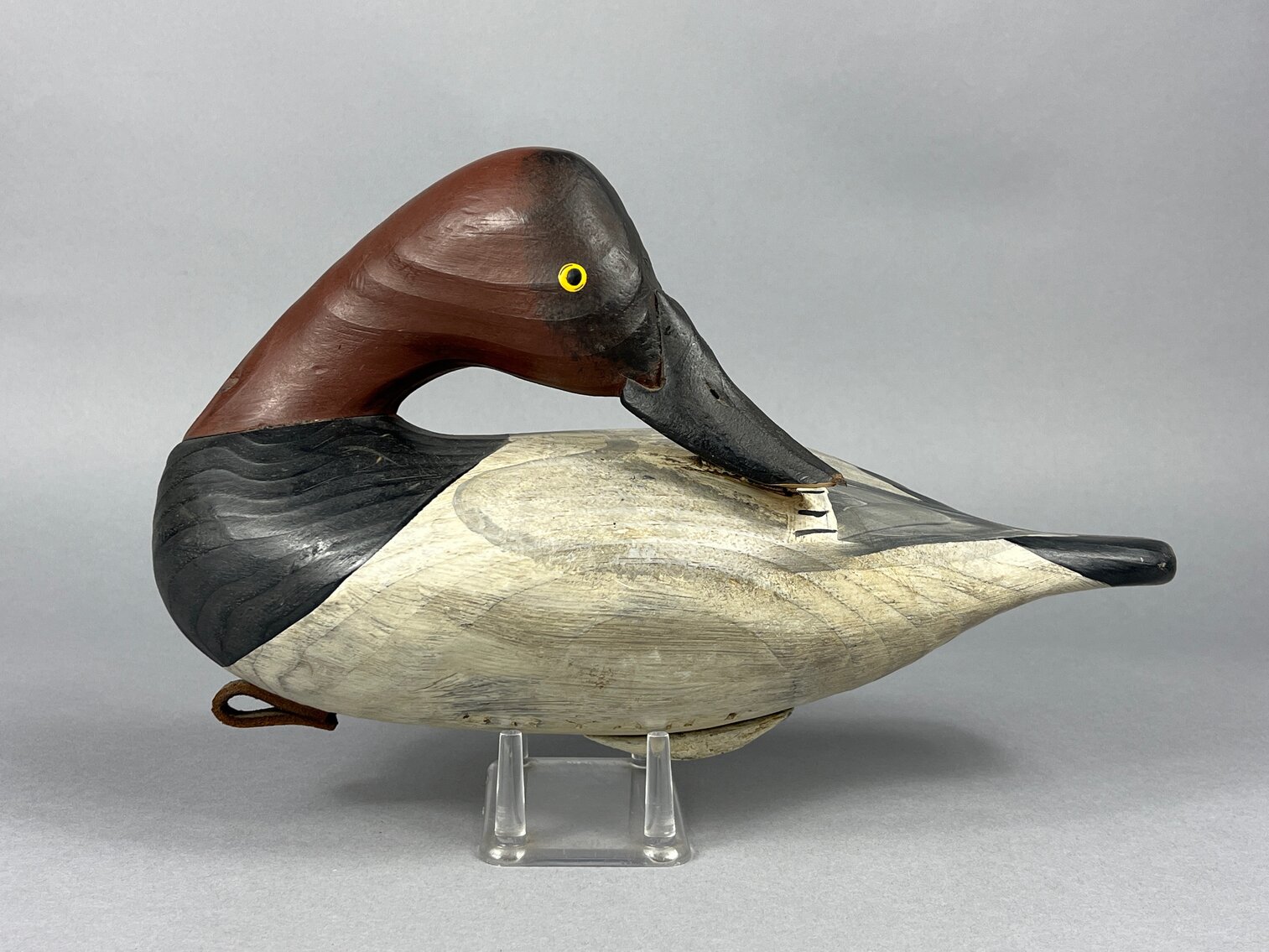 Canvasback by Vernon Bryant 