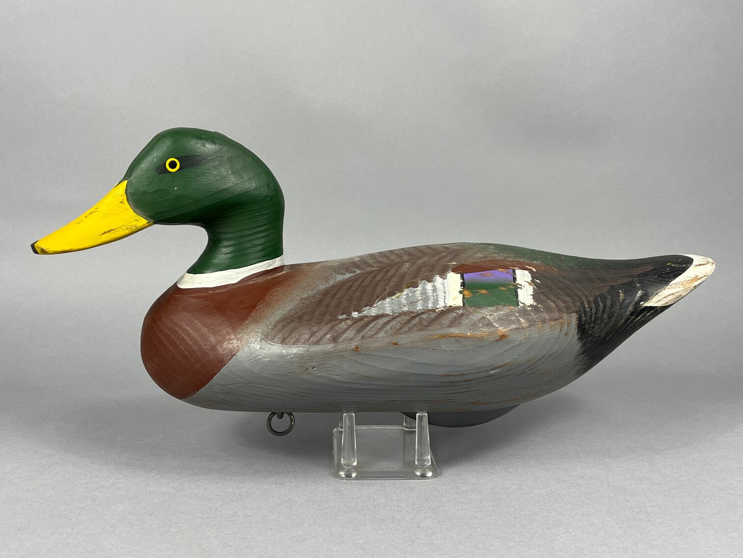 Mallard from the Jobes Family