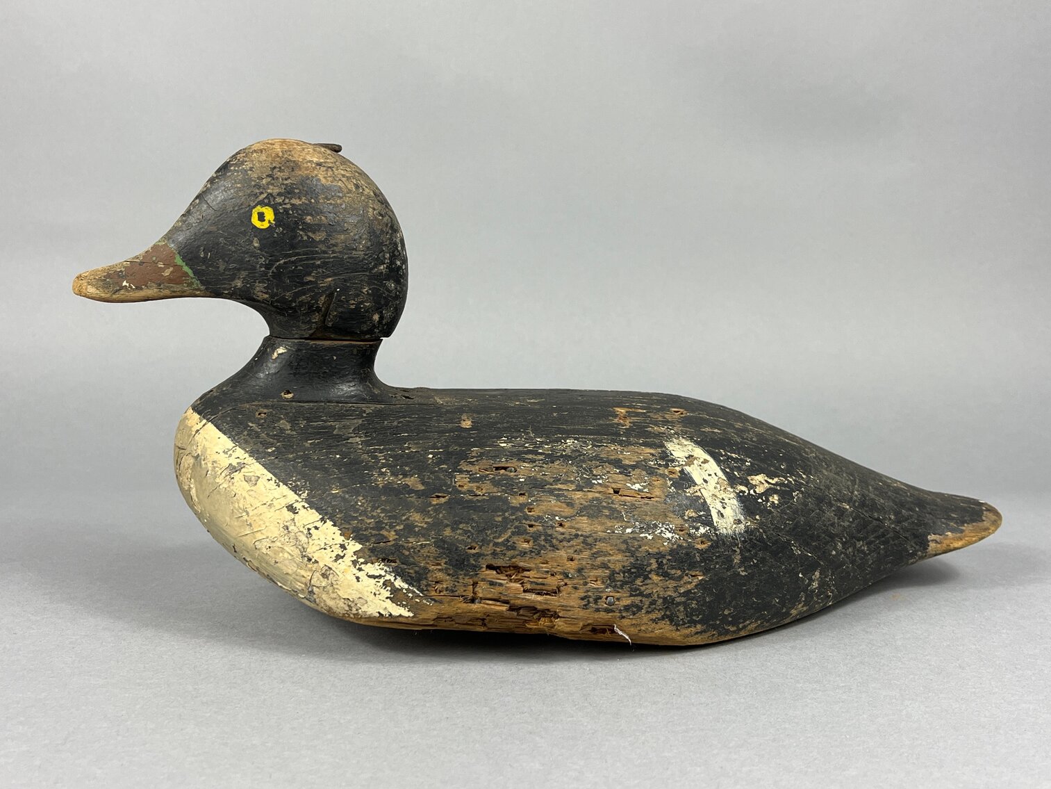 Goldeneye Hen from Maine