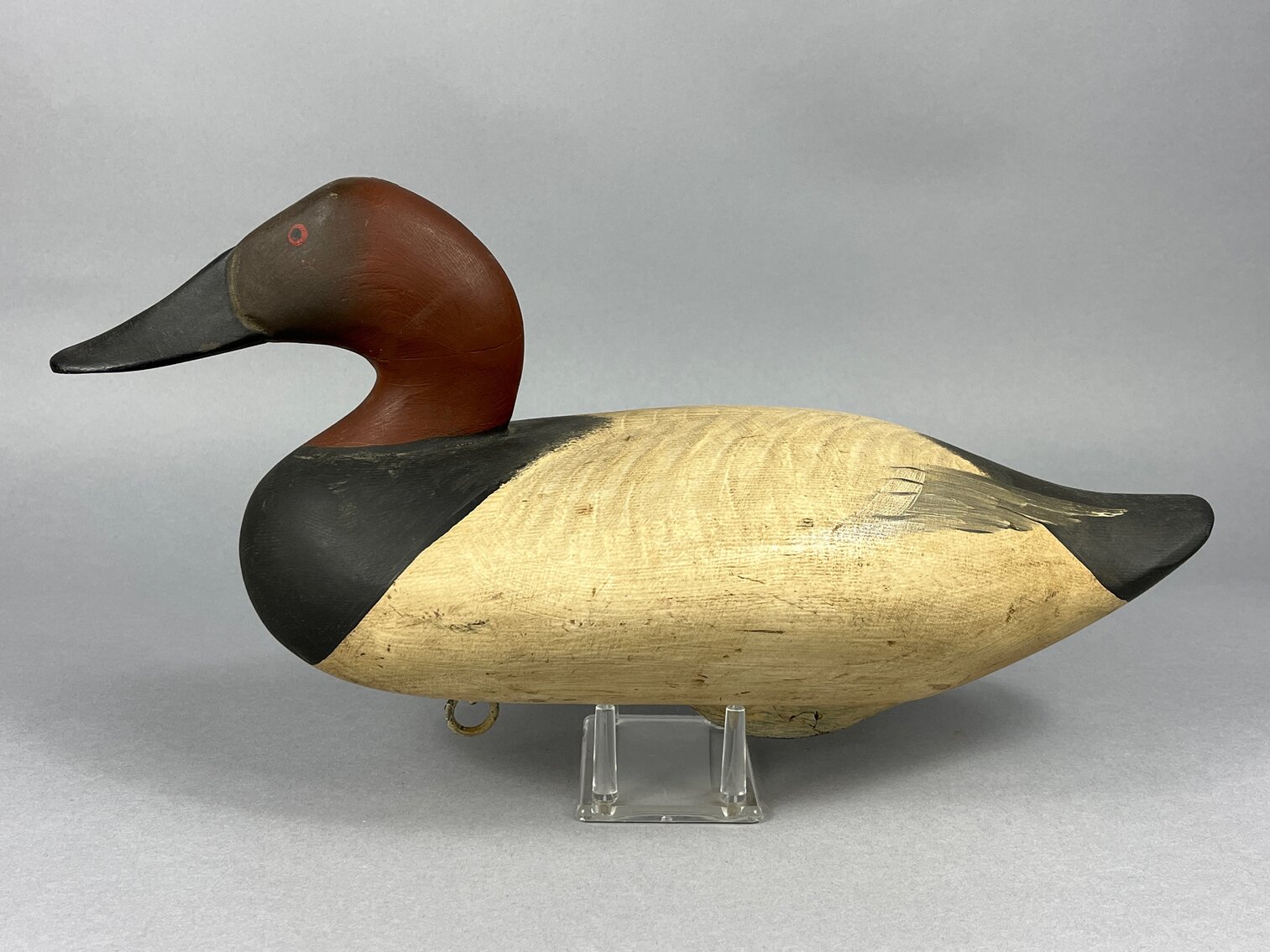 Canvasback by R. Madison Mitchell