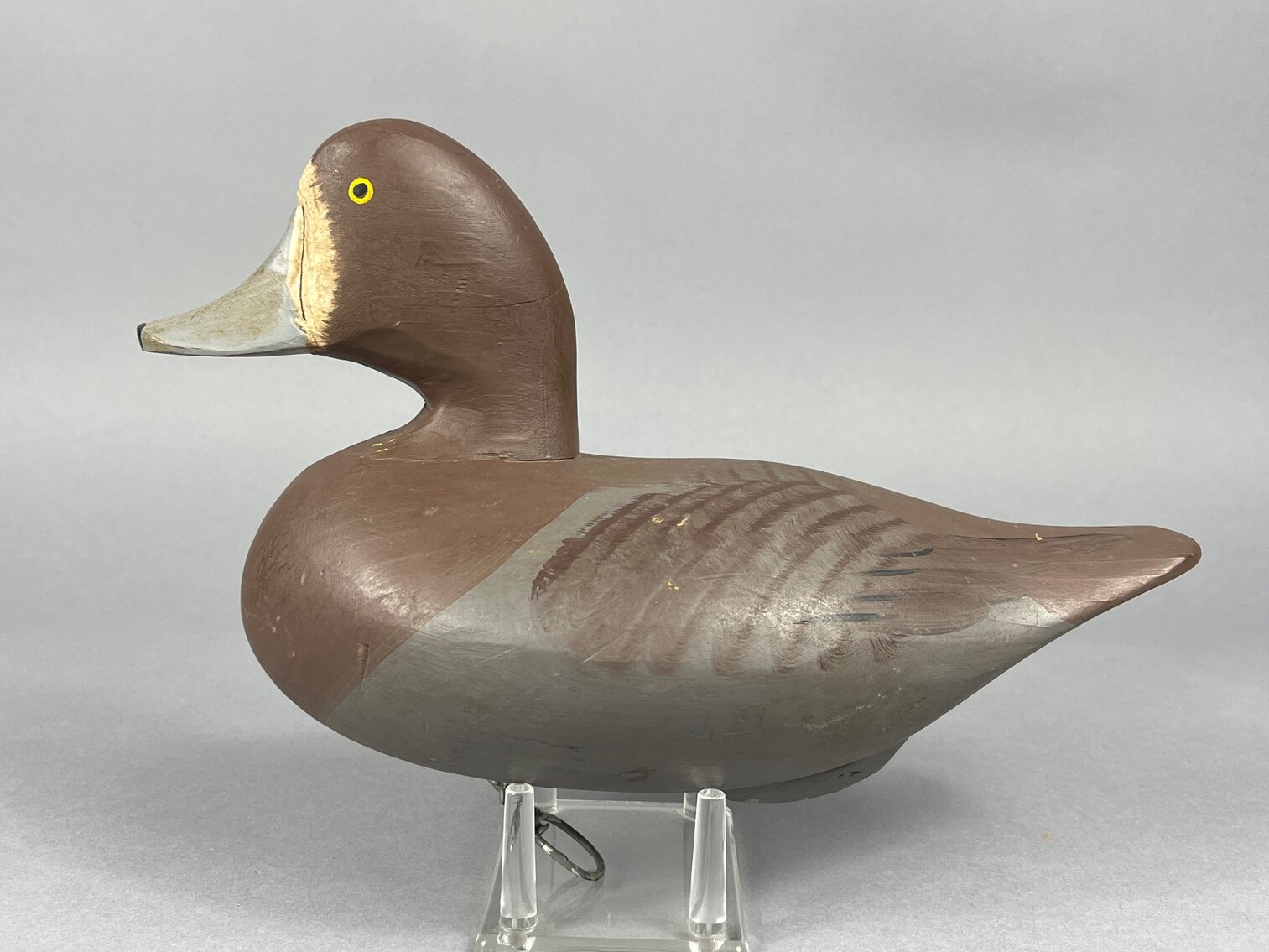 Bluebill by Capt Bob Jobes