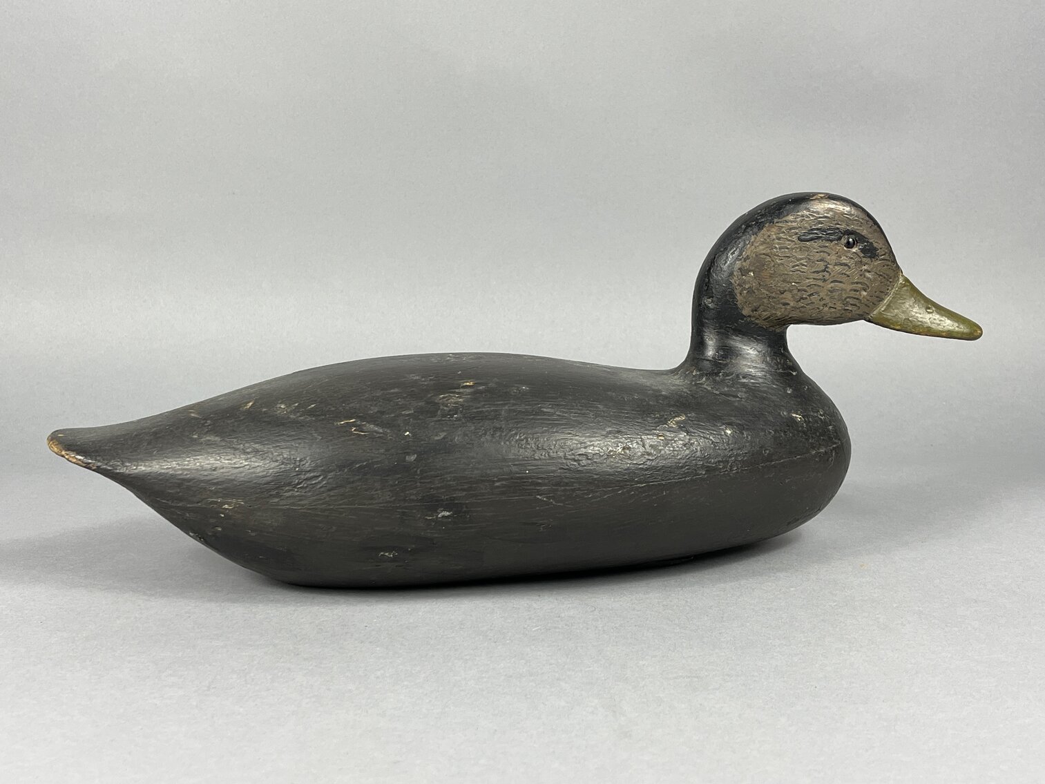Black Duck from De River