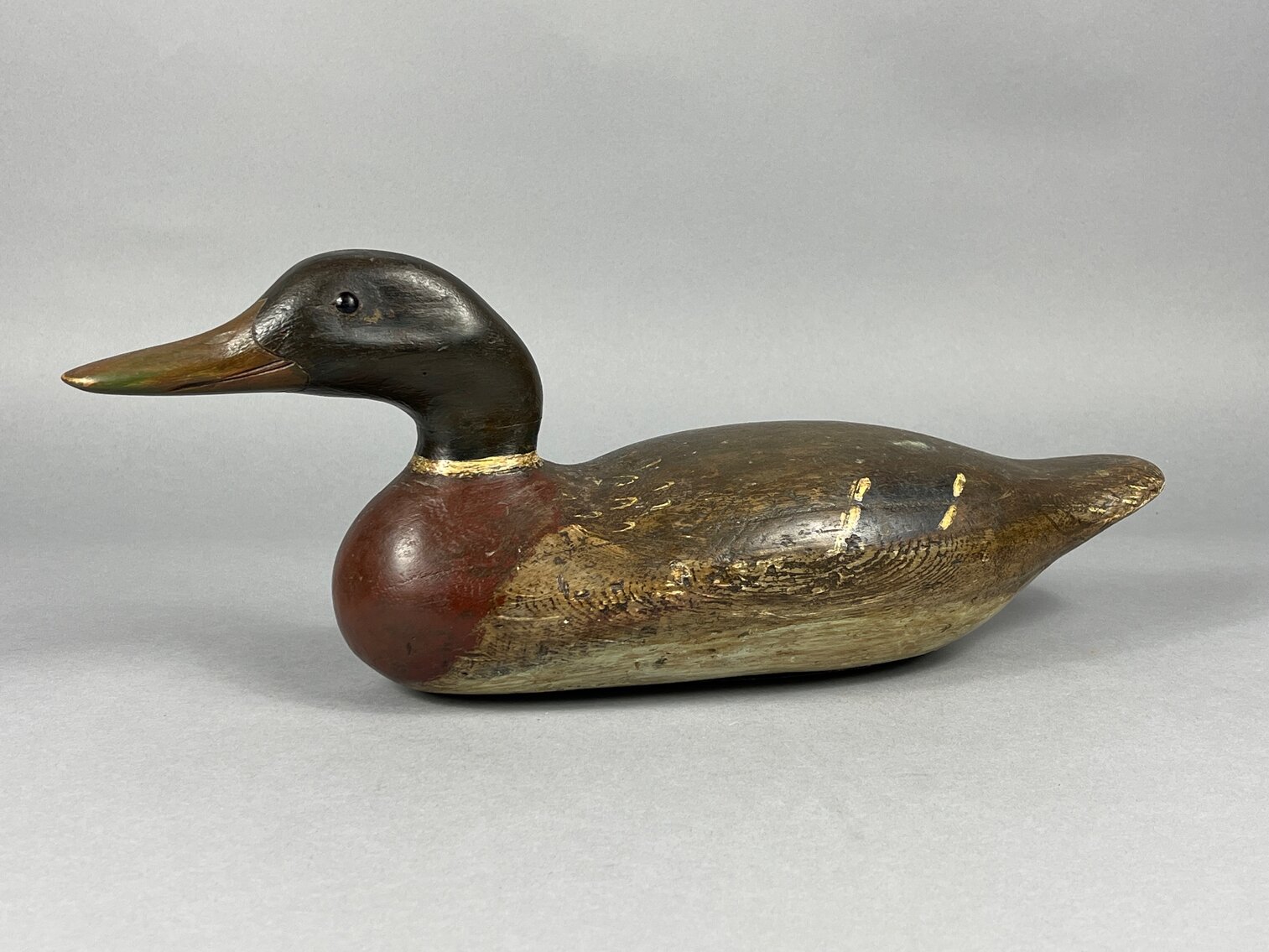 Mallard from West Coast