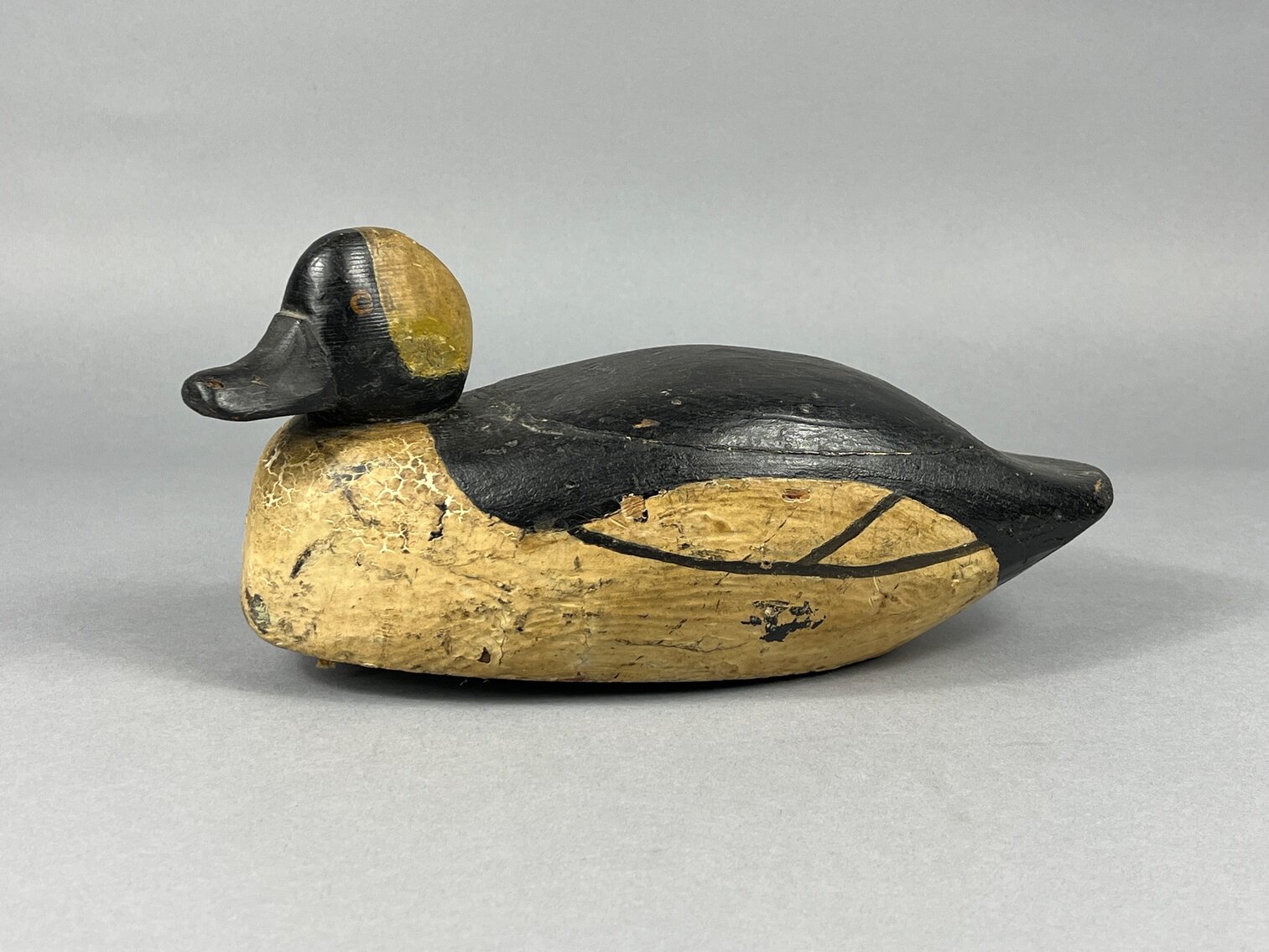 Bufflehead from New York