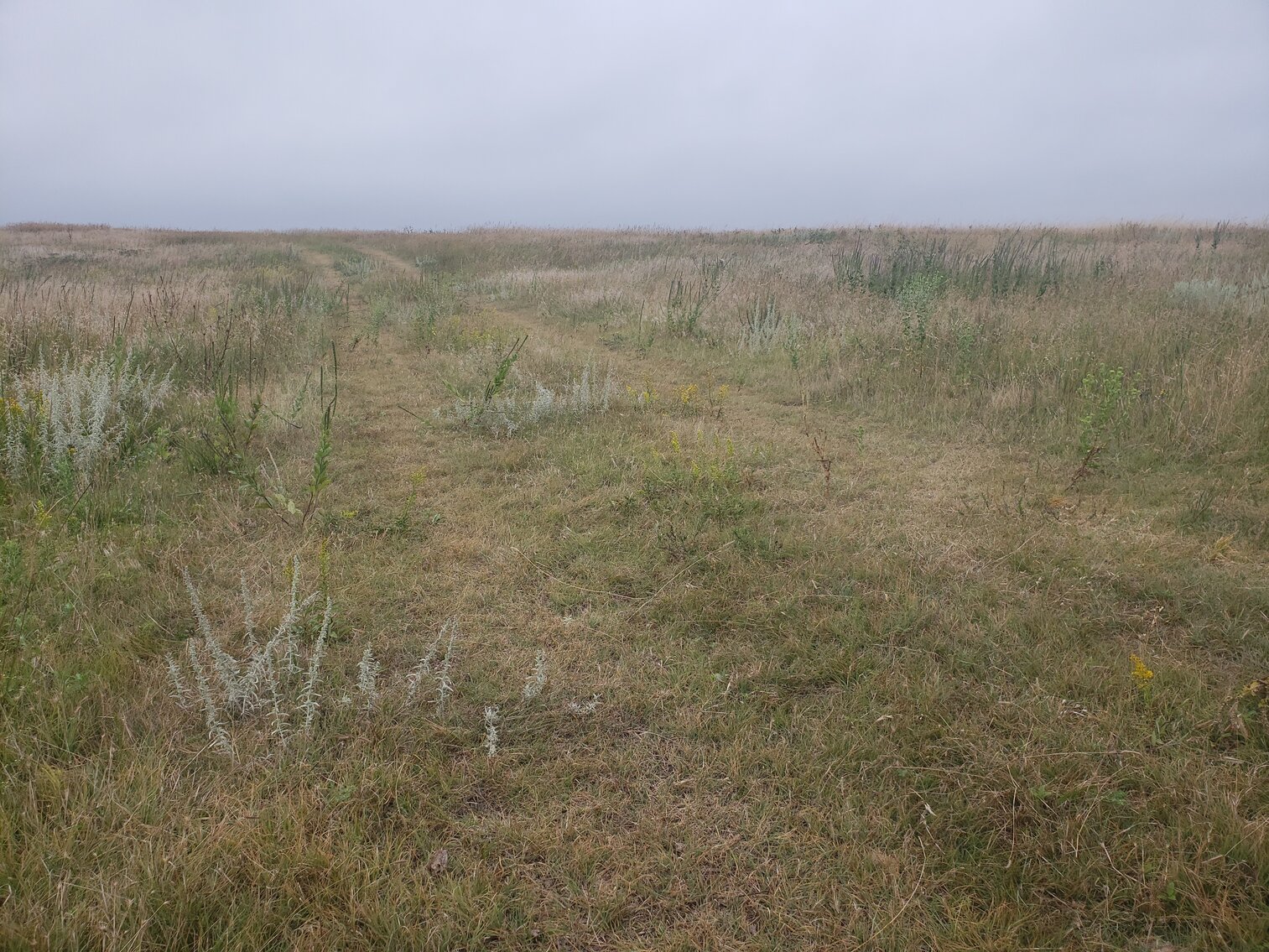 Image for 320+/- Deeded Acres in Carlock Township in Gregory County South Dakota