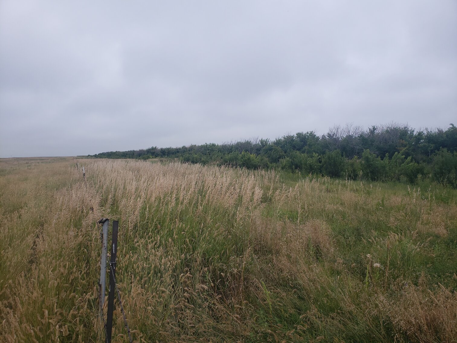 Image for 320+/- Deeded Acres in Carlock Township in Gregory County South Dakota