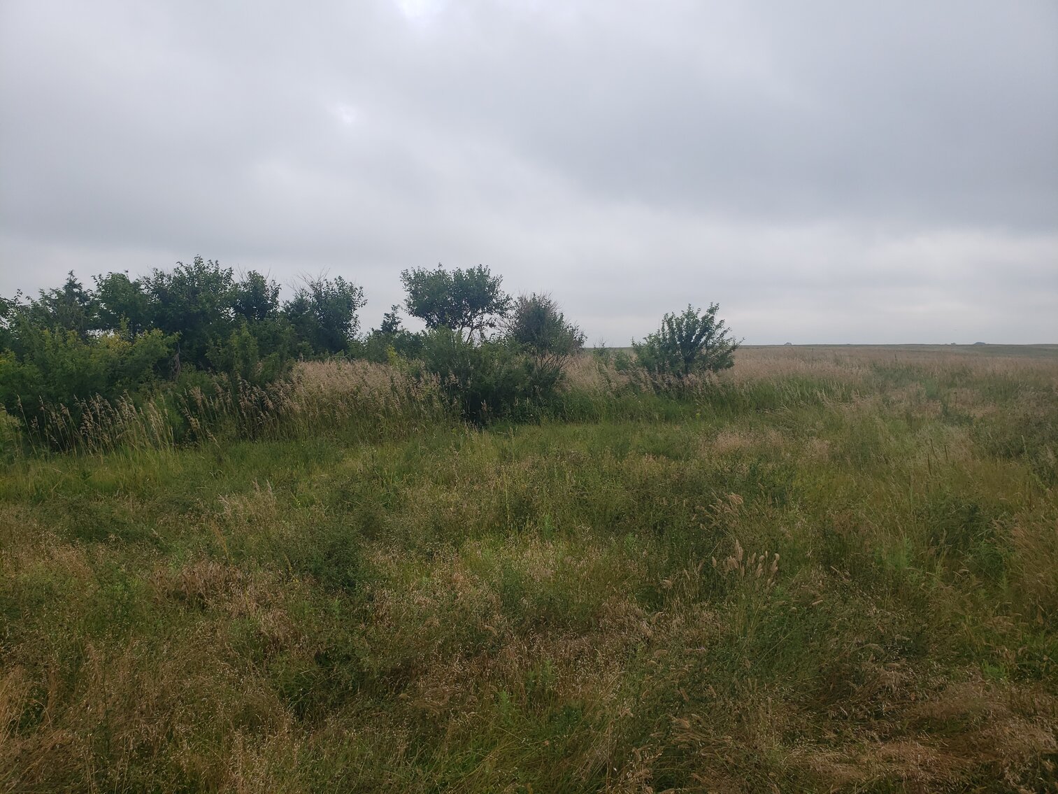Image for 320+/- Deeded Acres in Carlock Township in Gregory County South Dakota