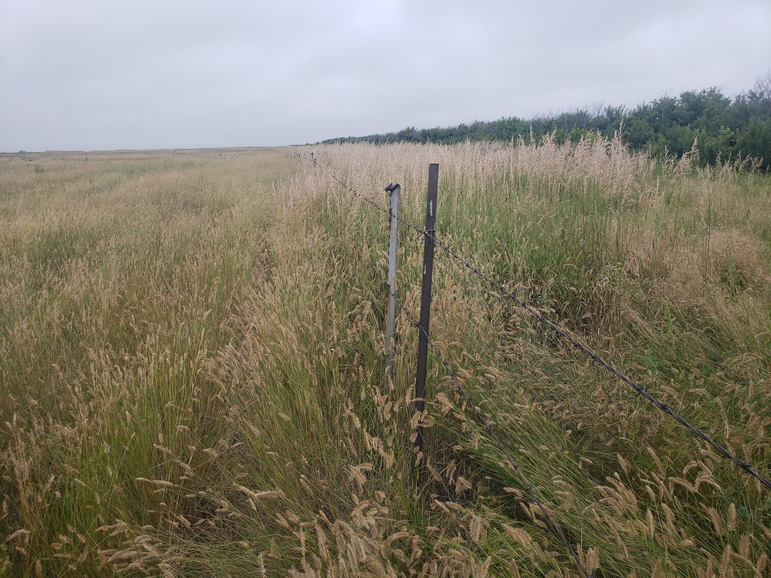 Image for 320+/- Deeded Acres in Carlock Township in Gregory County South Dakota