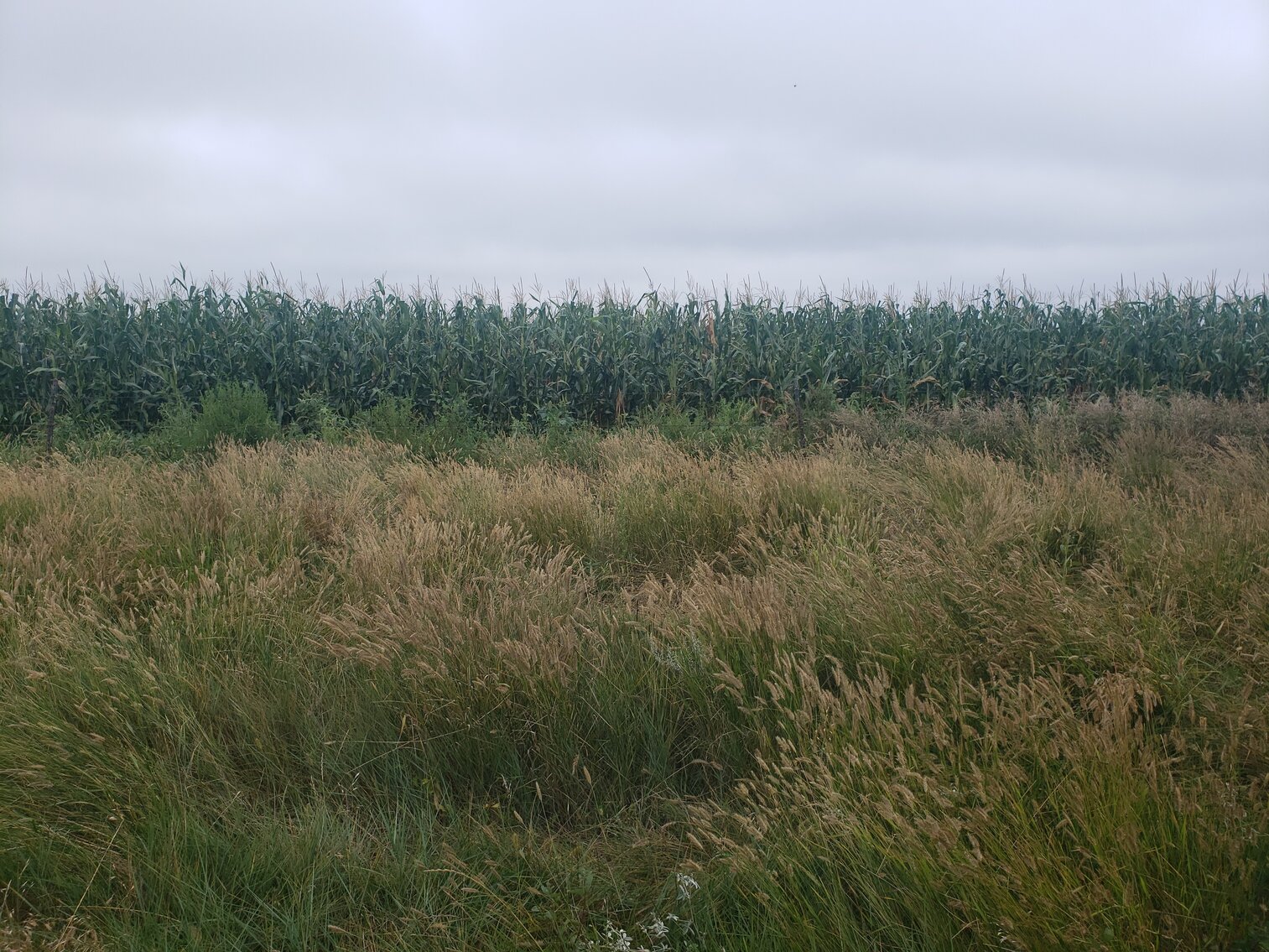 Image for 320+/- Deeded Acres in Carlock Township in Gregory County South Dakota