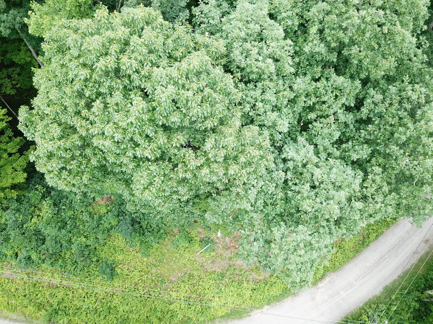 Image for SOLD $17,600 - Double Lot at Wildwood Lake Selling to the Highest Bidder