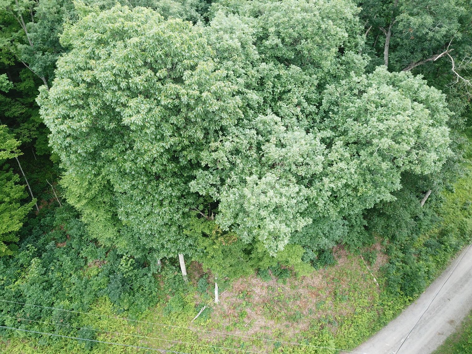 Image for SOLD $17,600 - Double Lot at Wildwood Lake Selling to the Highest Bidder