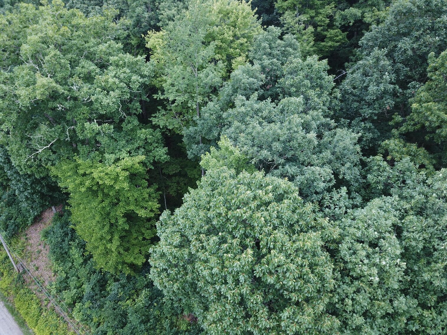 Image for SOLD $17,600 - Double Lot at Wildwood Lake Selling to the Highest Bidder