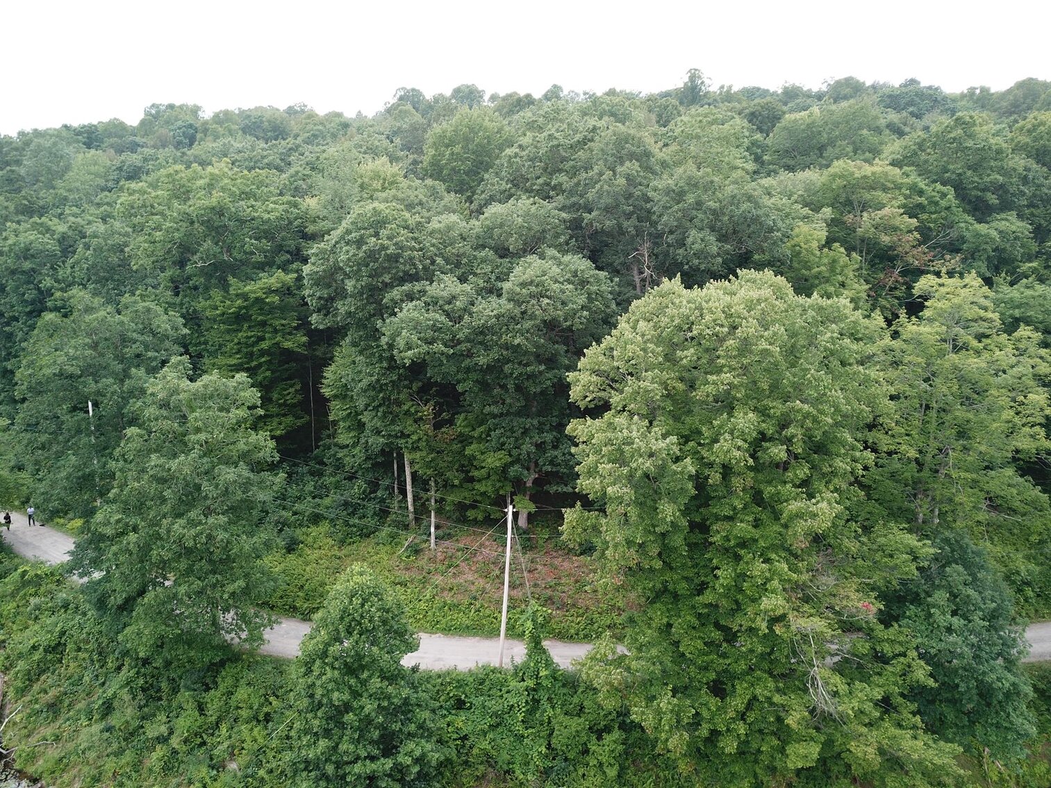 Image for SOLD $17,600 - Double Lot at Wildwood Lake Selling to the Highest Bidder