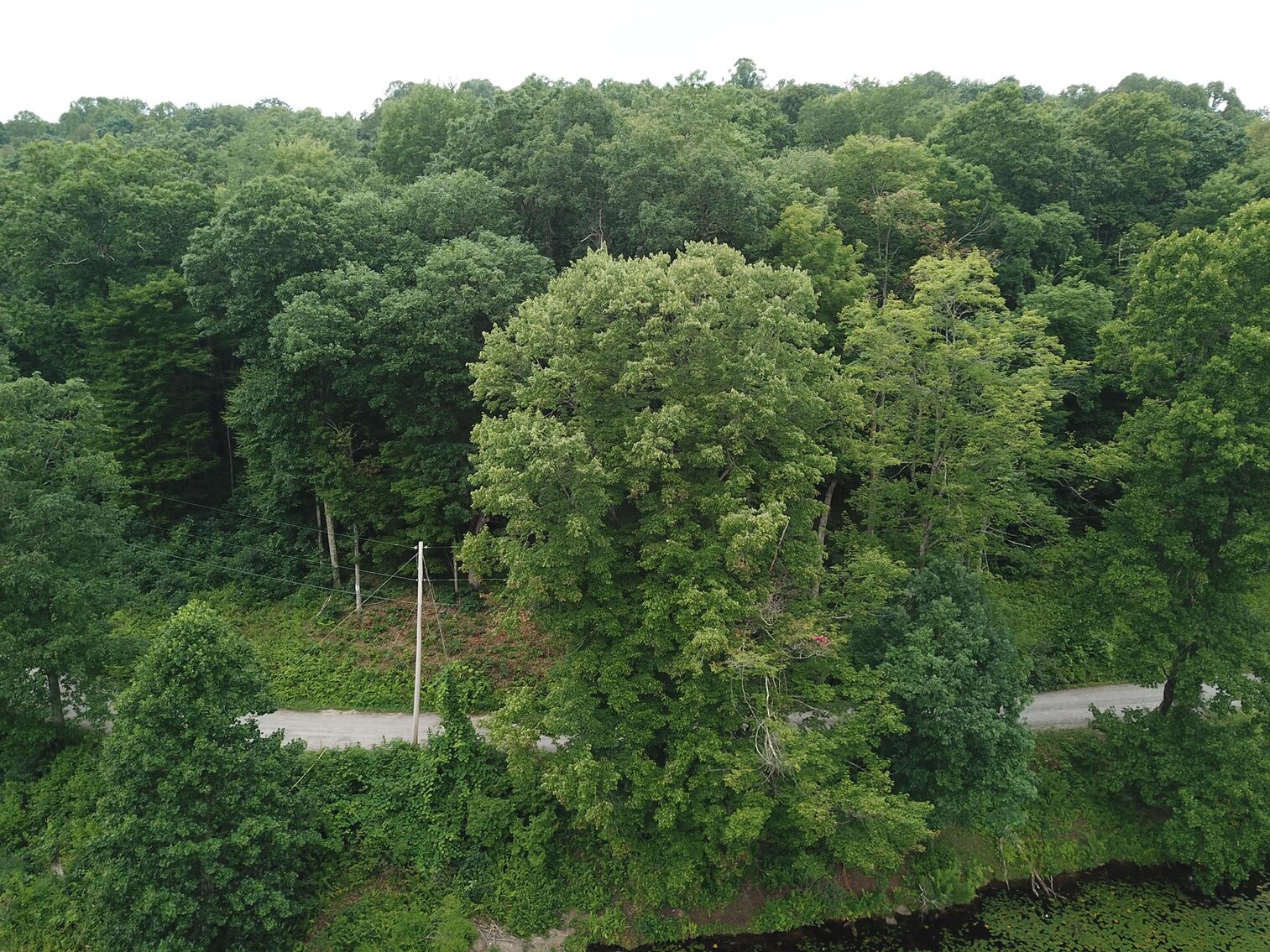 Image for SOLD $17,600 - Double Lot at Wildwood Lake Selling to the Highest Bidder