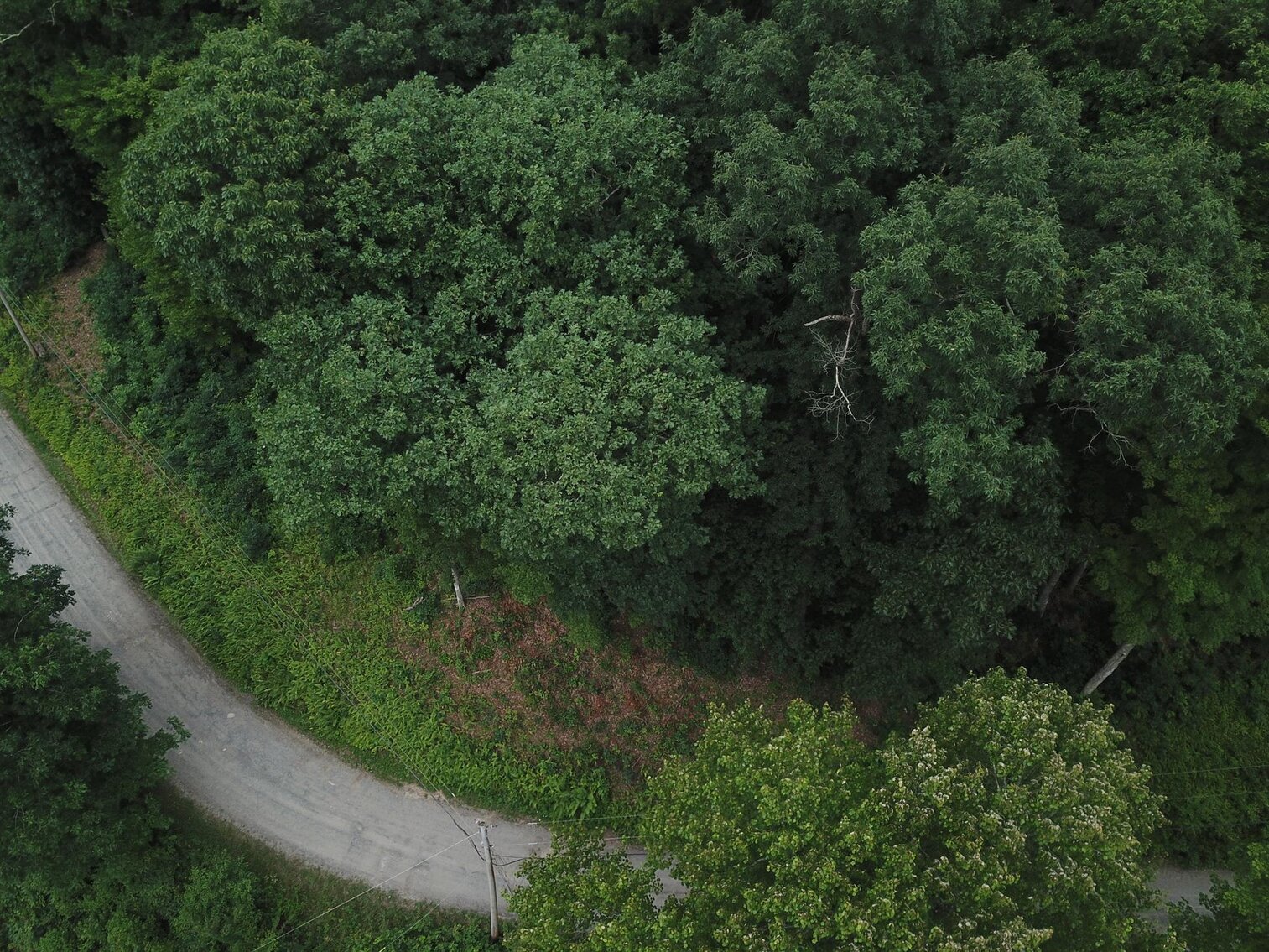 Image for SOLD $17,600 - Double Lot at Wildwood Lake Selling to the Highest Bidder