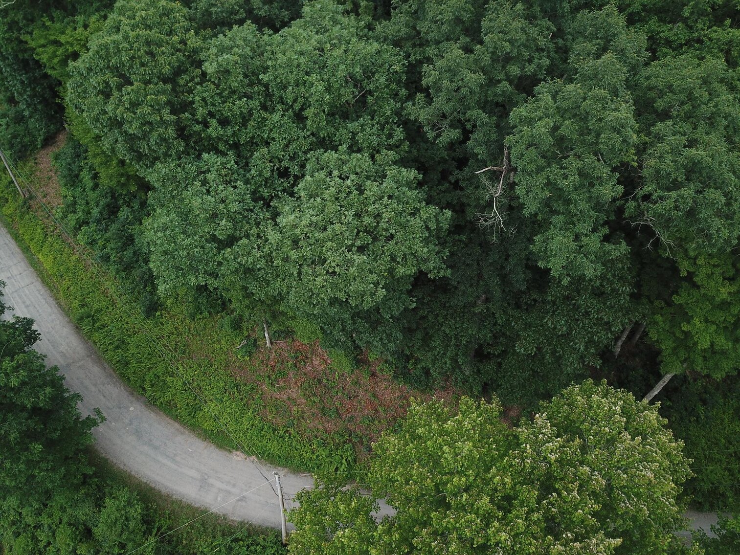 Image for SOLD $17,600 - Double Lot at Wildwood Lake Selling to the Highest Bidder