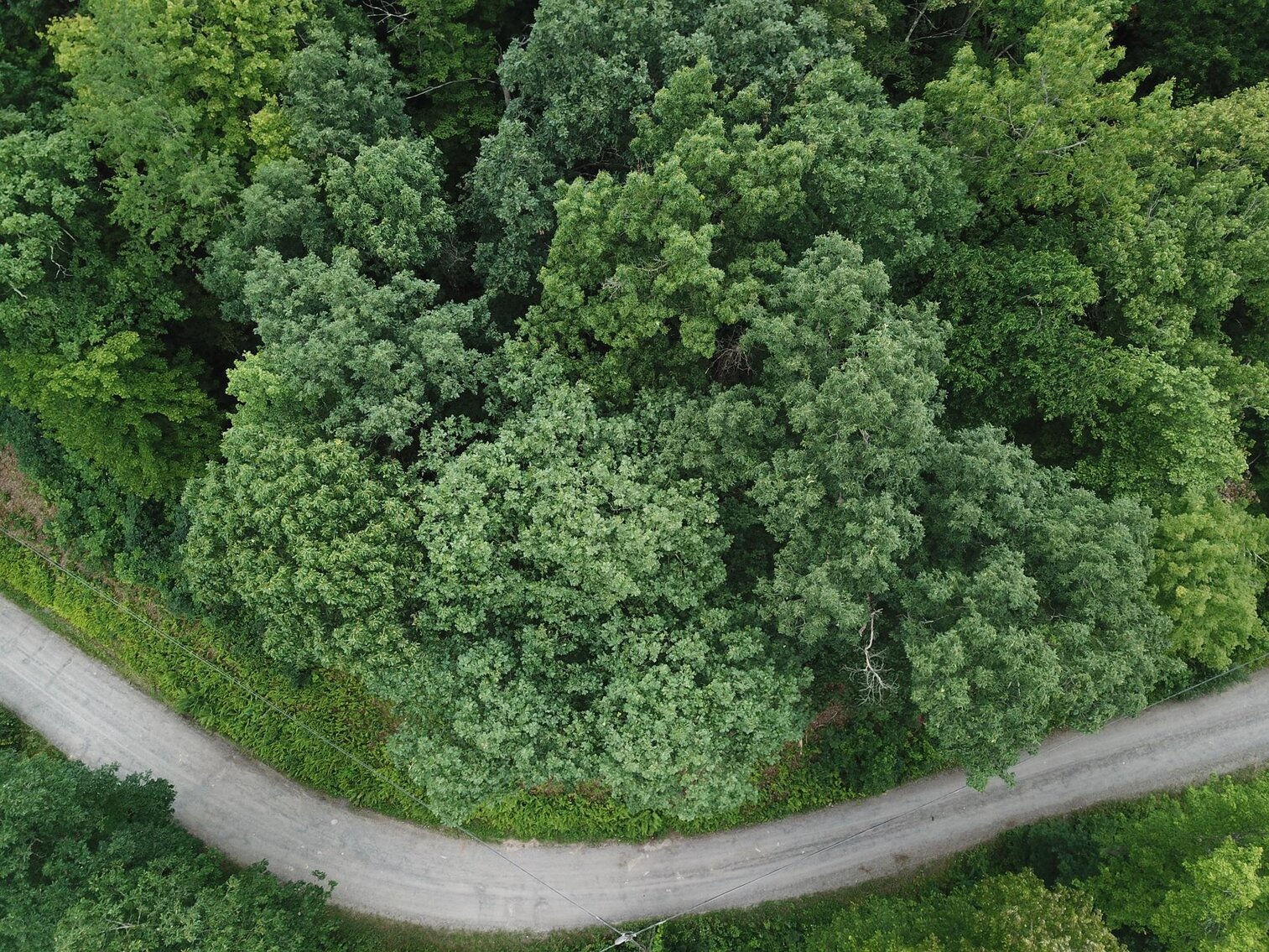 Image for SOLD $17,600 - Double Lot at Wildwood Lake Selling to the Highest Bidder