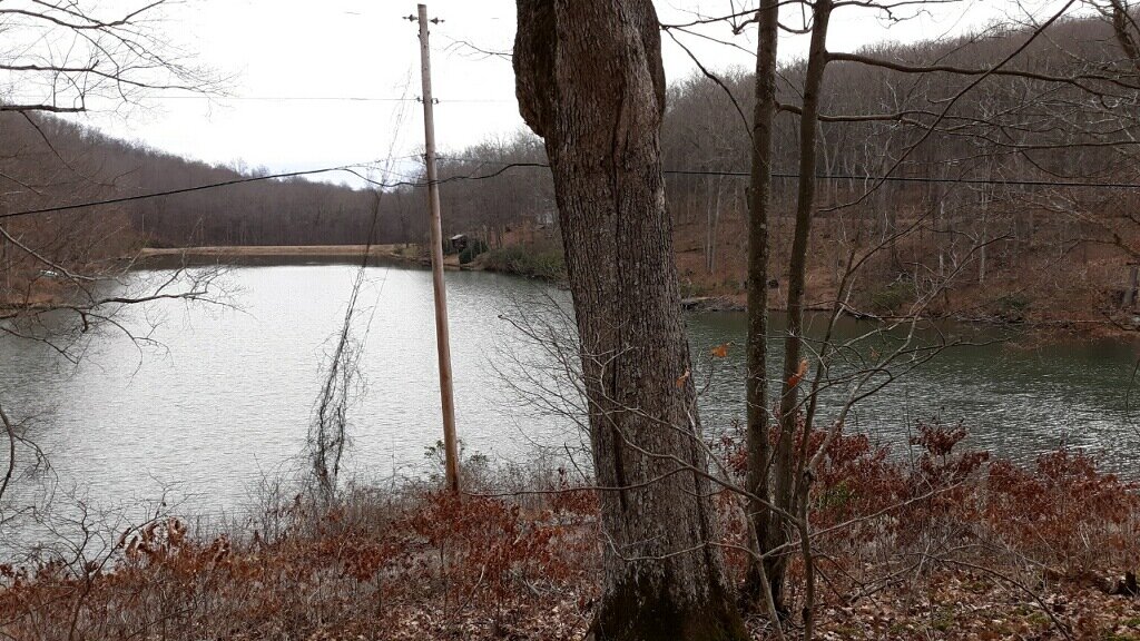 Image for SOLD $17,600 - Double Lot at Wildwood Lake Selling to the Highest Bidder