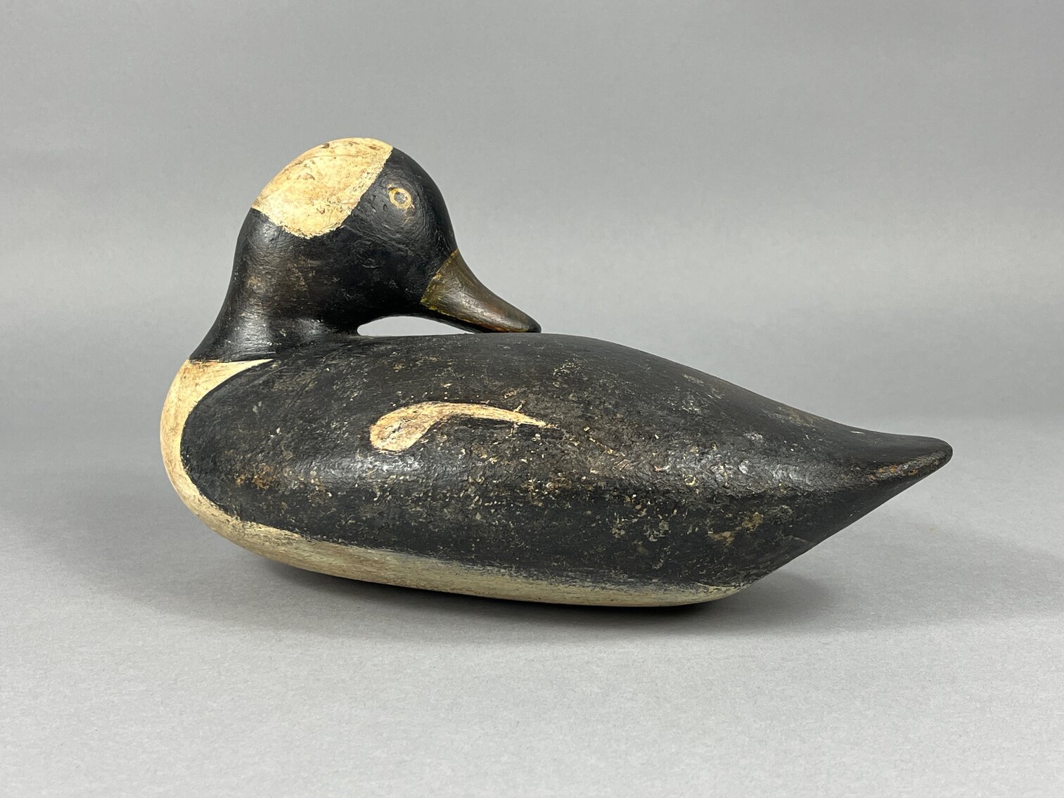 Bufflehead from Chesapeake Bay