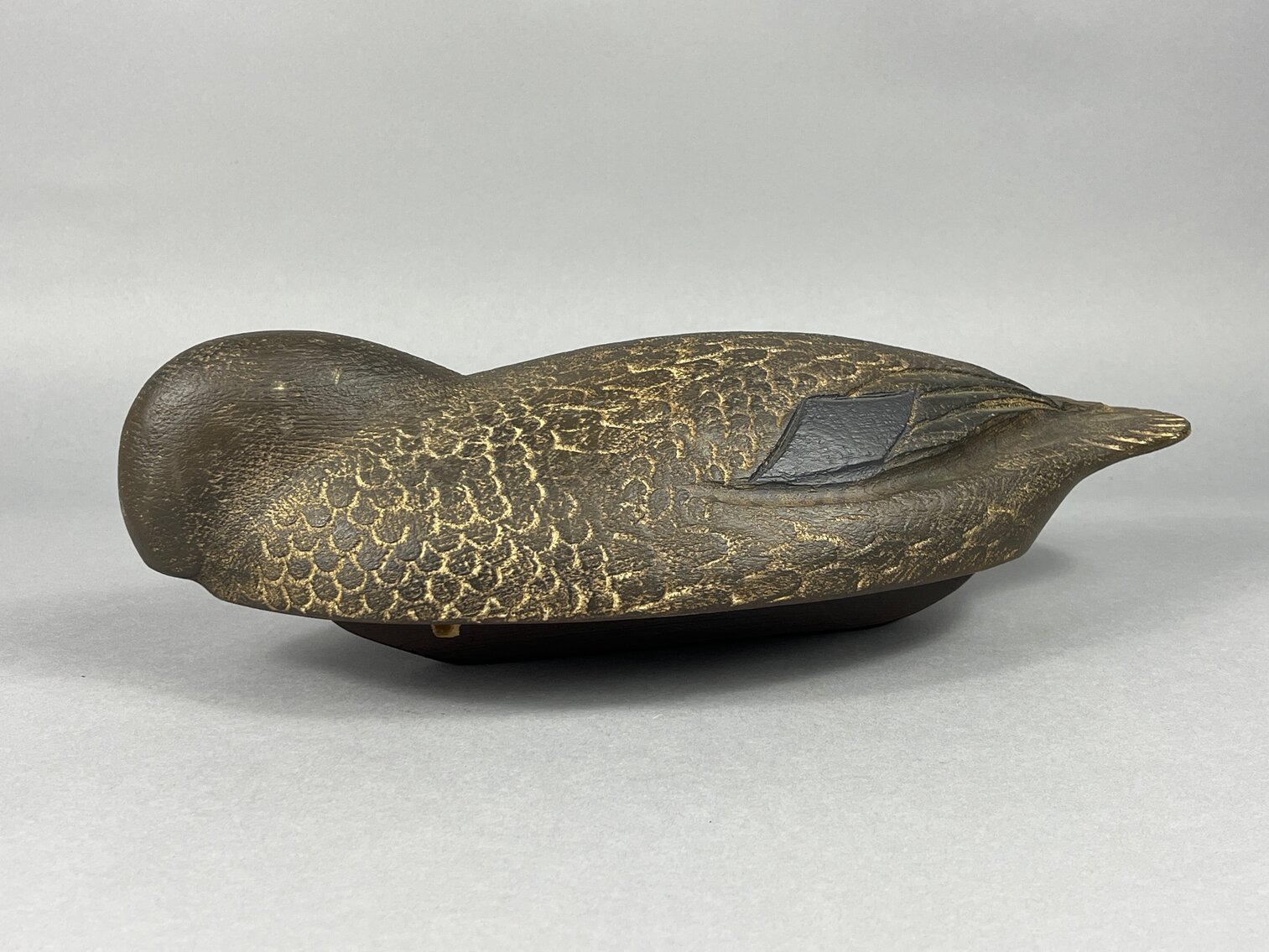 Black Duck by Darkfeather Freedman