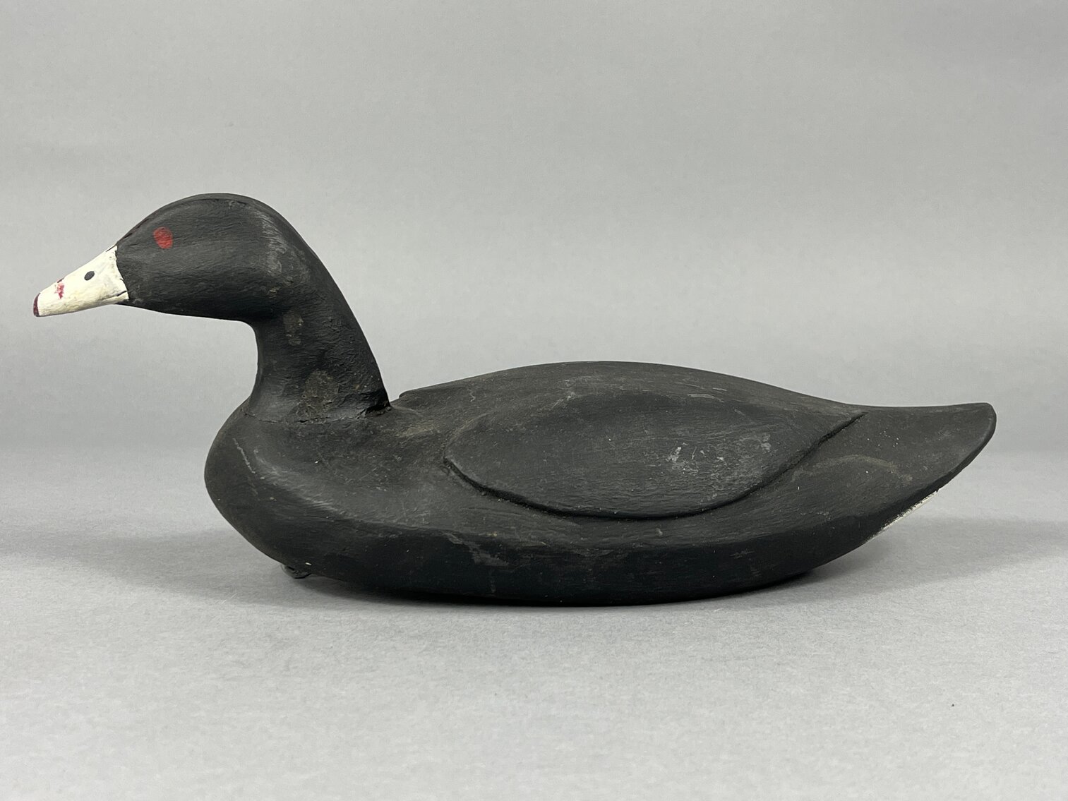 Coot by R. B. 
