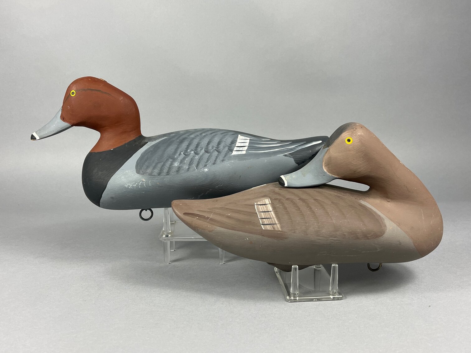 Redhead Pair by Capt Harry Jobes